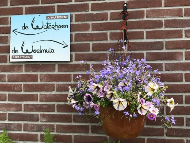 Gastenverblijf De Natureluur Noorden エクステリア 写真