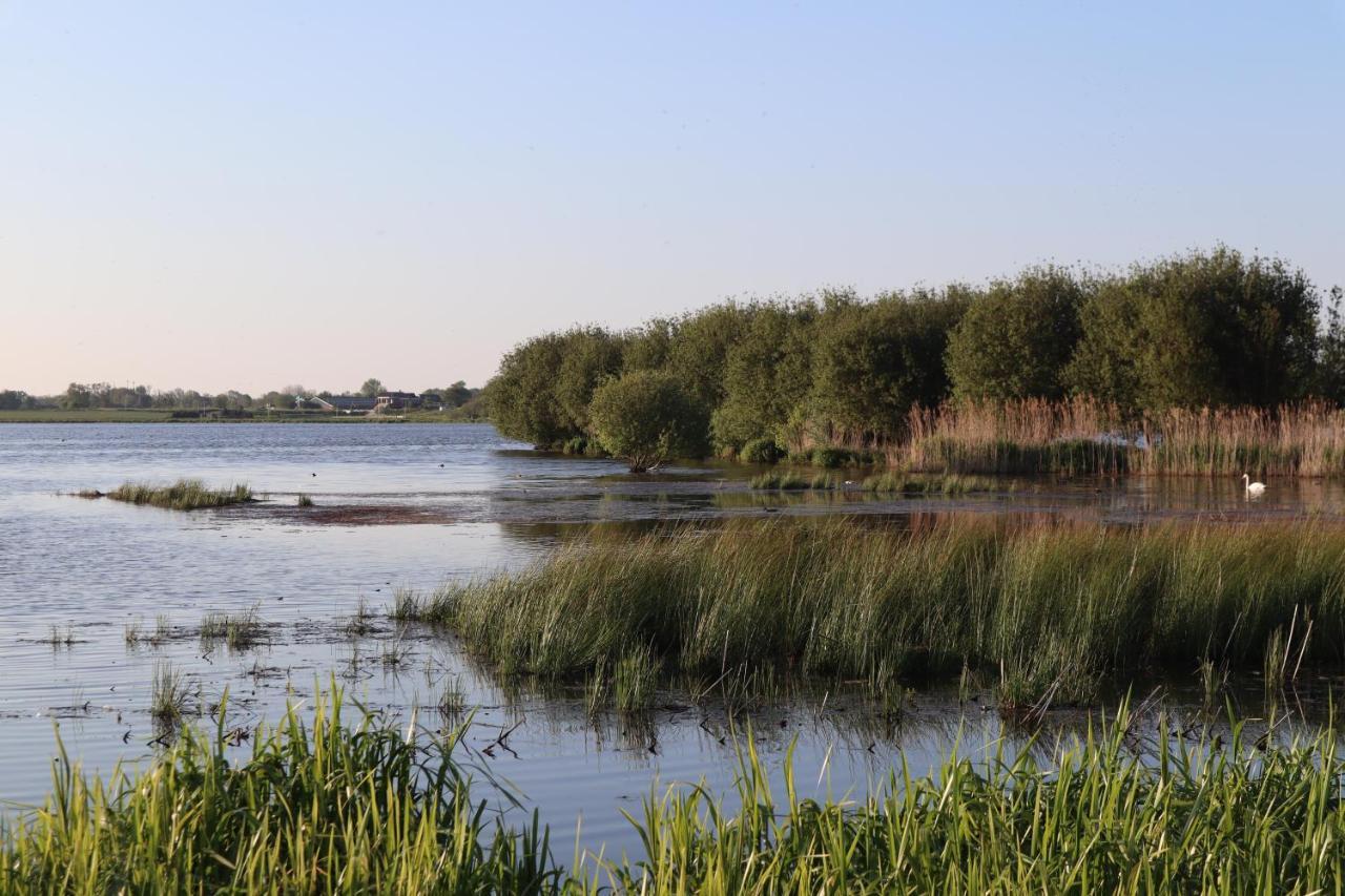 Gastenverblijf De Natureluur Noorden エクステリア 写真