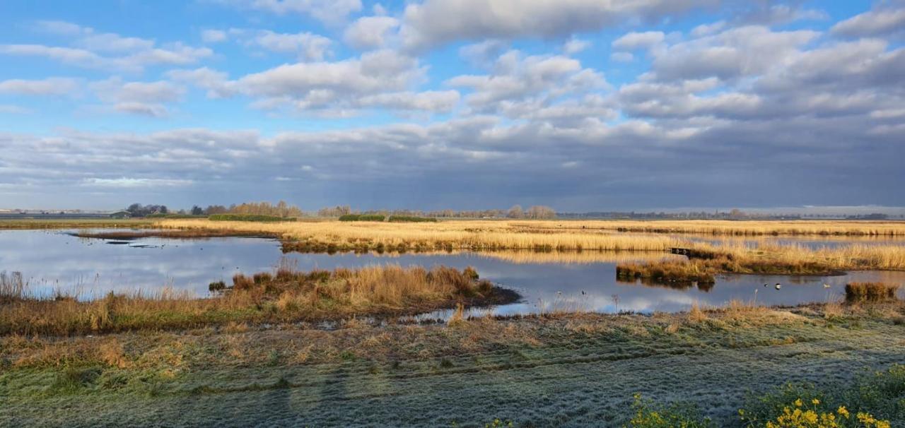 Gastenverblijf De Natureluur Noorden エクステリア 写真