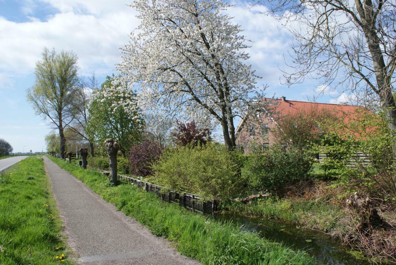 Gastenverblijf De Natureluur Noorden エクステリア 写真