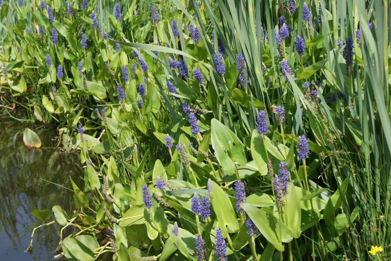 Gastenverblijf De Natureluur Noorden エクステリア 写真